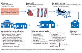 Image result for Myocardial Infarction Stabilization
