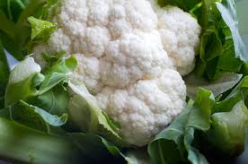 cauliflower plants ile ilgili görsel sonucu