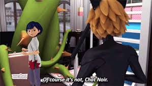 Click here to see quotes from sabine cheng. Powerdragonmoon Tumblr Com Tumbex