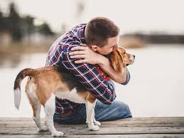 The amount of total pet expenditures in the u.s. Can I Travel With My Pet When I Am Moving Out Of The Uae Living Relocate Gulf News