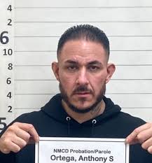 Police looking for suspect in Portales shooting