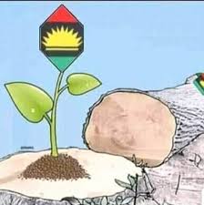 Read all the latest news, breaking stories, top headlines, opinion, pictures and videos about imo state from nigeria and the world on today.ng. Indegenouse People Of Biafra Ipob Imo State Posts Facebook