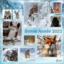 Fr comme répondre mal à questions pour un champion, venir ici quand je suis la trace de l'activité d'un ovni, ou pour coudre un nouveau costume. Quiz Question Pour Un Champion Naturaleza Animales