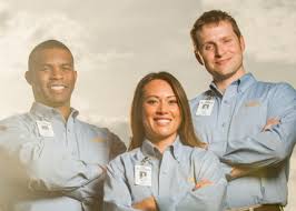 Arthur has 1 job listed on their profile. Cook S Pest Control Careers Jobs Zippia