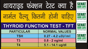 69 always up to date thyroid normal level in female