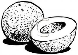 Up to 12,854 coloring pages for free. Black And White Cantaloupe Clip Art Image