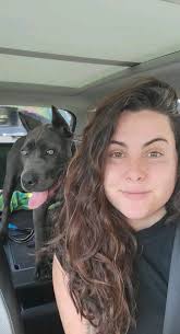 Same same but different. This is Kaido and his daughter Valeria. The latter  is up for re🏡ing. 📩 #MidnightFury #CaneCorso