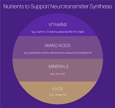 eating for your neurotransmitters deanna minich