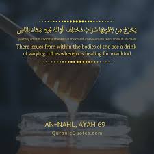 Read and learn surah nahl 16:69 to get allah's blessings. Seeking Good Health 6 Quranic Verses About Healing Quranic Quotes
