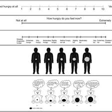 Introduction & how to use the meal plan committing to 30 days of eating clean doesn't need to be complex or time consuming. Pdf Measuring Satiation And Satiety Chapter Outline