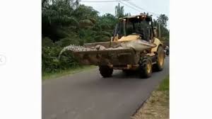 We did not find results for: Viral Video Buaya Dibawa Alat Berat Tak Diizinkan Evakuasi Karena Adat Suara Batam