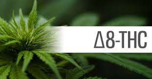 This minor cannabinoid appears in very small. Delta 8 Thc Is It Legal Wiki Ecigarette