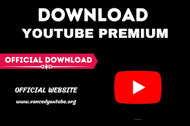 How To Download Youtube Videos For Free: 5 Methods In 2023 | Clipchamp Blog