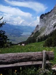 The truly amazing restaurant on top of. Berggasthaus Holzegg Alpthal Restaurant Bewertungen Telefonnummer Fotos Tripadvisor