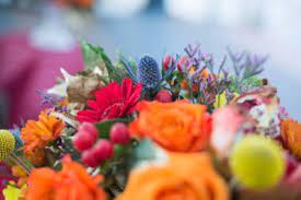 Flowers by coley las vegas. Flowers By Coley Is Now In Las Vegas Flowers By Coley Las Vegas Flowers By Coley Las Vegas
