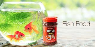 Pet fish price worth rs three crore, some owners splashing money on its plastic surgery to make the arowana fish more beautiful. Fish Supplies Buy Aquarium Fish Tank Accessories Online At Best Prices In India Amazon In Amazon In