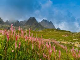 Valley of flowers uttarakhand best time to visit. Valley Of Flowers Is Now Open For Tourists Times Of India Travel