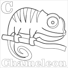 (you may copy and print this image for your own use, but may not publish it or distribute it for profit.) Chameleon Coloring Pages Best Coloring Pages For Kids