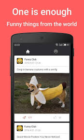 World amazing funny videos download. Funny Video Club For Android Apk Download