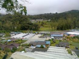 Maybe you would like to learn more about one of these? Kg Taman Sedia Mapio Net
