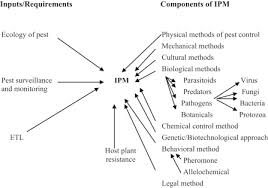 Assuming only a background in elementary biology, the authors present the major elements of general entomology before moving on to concepts in insect biology and ecology necessary for. Integrated Pest Management Sciencedirect