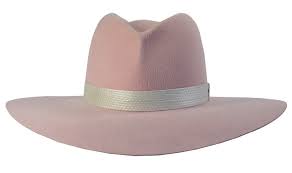 Joanne Women Hats Fashion Lady Gaga Pink Pink Hat