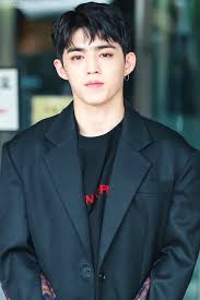 Pin Di Seventeen