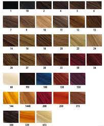 Amber, caramel with blonde highlights, golden brown, honey, or warm red. Pin On Hair Colour