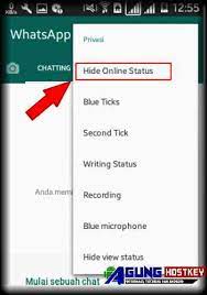 Gimana cara setting whatsapp (wa) agar kita tidak terlihat online? Begini Cara Supaya Terlihat Offline Di Whatsapp Agung Hostkey