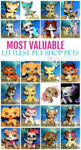 Rare Littlest Pet Shop List Make Money On Ebay Sarah Titus