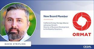 David Stripling's Instagram, Twitter & Facebook