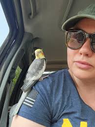 Is anyone in Middlesex County missing their Goffins Cockatoo?