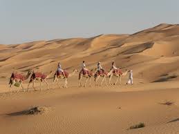 Just remember there is no lift to bring you back up the dunes! Adventures And Activities To Experience In Abu Dhabi