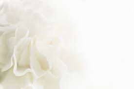 Wedding Background Photos Royalty Free Images Graphics Vectors Videos Adobe Stock Feel free to download, share, comment and discuss every wallpaper you like. wedding background photos royalty