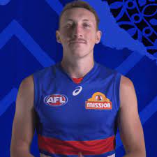 We did not find results for: Aussie Rules Football Dogs Gif By Western Bulldogs Find Share On Giphy