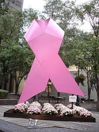 Symbol of national breast canser awareness month in october. Breast Cancer Awareness Wikipedia