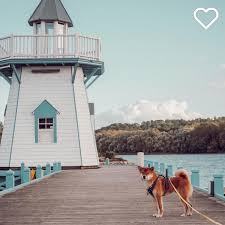 Heb Jij Ook Al Zo N Zin Om Er Deze Zomer Op Uit Te Trekken Bedankt Voor Het Delen Van Je Lieve Foto Yaki Theshiba Iederzncent In 2020 Center Parcs Instagram
