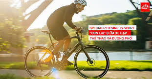 Xe đạp đường phố hay còn gọi là dòng hybrid bike. Specialized Sirrus Sport Con Lai Giá»¯a Xe Ä'áº¡p Thá»ƒ Thao Va Ä'Æ°á»ng Phá»' Trisport International