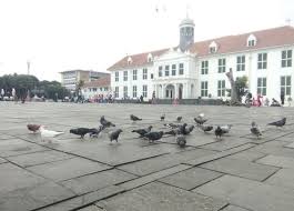 Sedangkan perbedaannya adalah burung merpati digunakan untuk. Pemandangan Burung Merpati Di Kota Tua Seperti Wisata Di Luar Negeri