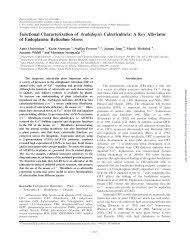 Closely related fields include plant morphology (structure of plants), plant ecology (interactions with the environment), phytochemistry (biochemistry of plants), cell biology, genetics, biophysics and molecular biology. Update On Mechanisms Of Plant Cell Wall Plant Physiology