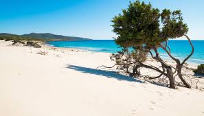 Porto Pino