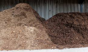 We did not find results for: Bark Up The Right Tree Nursery Management