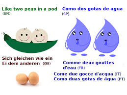 multilingual idioms, sayings and