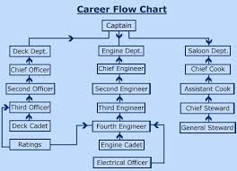 34 You Will Love Career Path Flow Chart