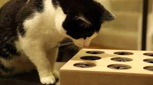 Cat Whack a Mole from ThinkGeek - YouTube