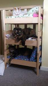 Before After Ikea Doll Bed Does Double Triple Duty Diy Cat Bed Ikea Hacks For Cats Ikea Doll Bed