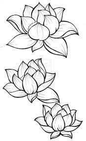 736x1208 Drawing Of Lotus Flower With Leaf How To Draw A Lotus Flower 7 Lotus Flower Art Lotus Flower Painting Flower Drawing