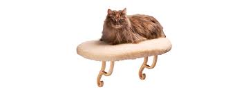 See more ideas about cat window hammock, cat window, cat bed. The Best Cat Window Perches Review In 2021 My Pet Needs That