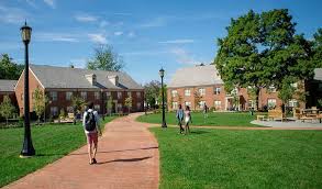 Image result for Peddiea