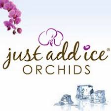 Maybe you would like to learn more about one of these? Pin On Orquidia